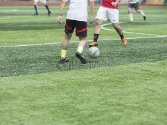 开云体育官,网入口,资讯,开云体育,开云体育官网,开云体育app,开云体育平台,KAIYUN,SPORTS,kaiyun登录入口