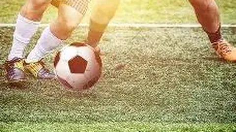 开云体育官网入口 产品 100210 byg