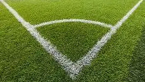 开云体育官网入口 产品 100211 hc8