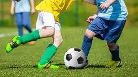 开云体育官网入口 资讯 112059 ebj