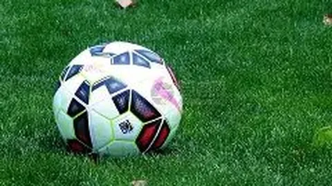 开云体育官网入口 资讯 112438 ywx