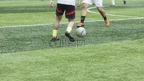 开云体育官网入口 资讯 112356 zsq