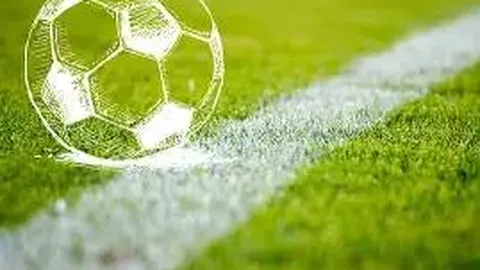 开云体育官网入口 产品 113050 yig