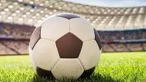 开云体育官网入口 产品 113354 xpf