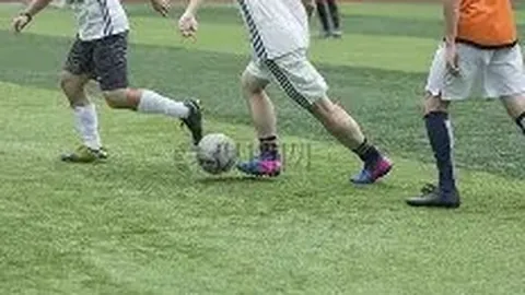 开云体育官网入口 产品 113355 gga