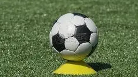 NEC尼美根「超」強勁