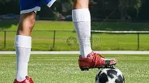 开云体育官网入口 资讯 092744 8g8