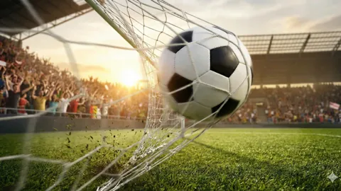 大乐透期号专家推荐：世欧预赛荷兰VS奥地利质合分析