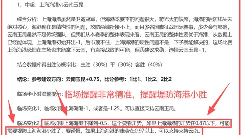 上海家庭晾晒新风尚，揭秘高端技巧，不容错过！