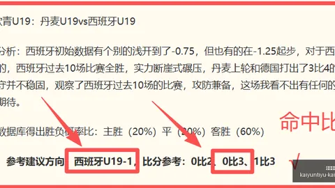 开云体育官网入口 121336 10